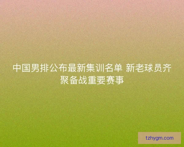 中国男排公布最新集训名单 新老球员齐聚备战重要赛事