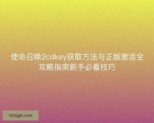 使命召唤2cdkey获取方法与正版激活全攻略指南新手必看技巧