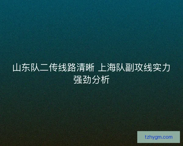 山东队二传线路清晰 上海队副攻线实力强劲分析