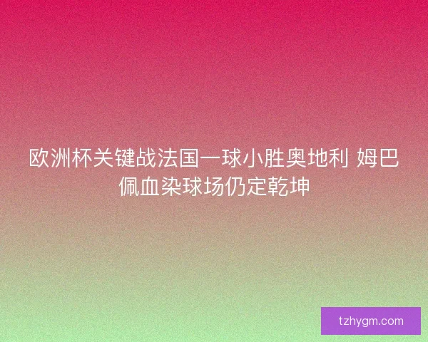 欧洲杯关键战法国一球小胜奥地利 姆巴佩血染球场仍定乾坤